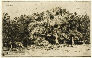Část lesa Fontainebleau od Charles Emile Jacque