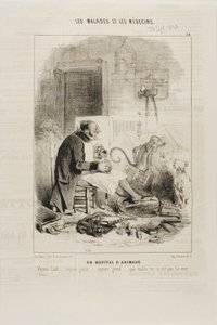 Zvířecí nemocnice (deska 20) od Charles Emile Jacque