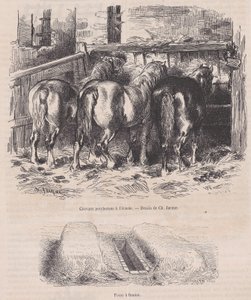 Percheronští koně ve stáji, Hnojná jáma, z Magasin Pittoresque, ca. 1852, ca. 1852. od Charles Emile Jacque