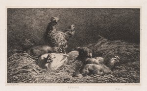 Chickens Poutes, 1867. od Charles Emile Jacque