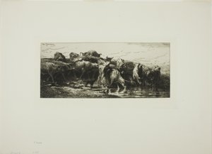 Krávy pijící z řeky od Charles Emile Jacque