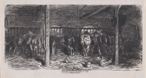 prosince z Album rustikálních předmětů, 1859.