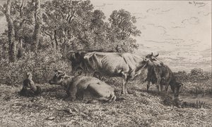 Holandské krávy, 1864. od Charles Emile Jacque