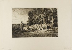 Stádo ovcí na okraji lesa od Charles Emile Jacque