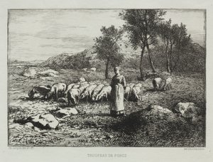 Stádo sviní od Charles Emile Jacque