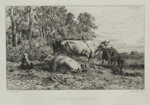 Holandské krávy od Charles Emile Jacque