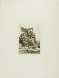 Krajina s pastevcem od Charles Emile Jacque