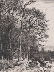 Edge of the Wood, 1846. od Charles Emile Jacque