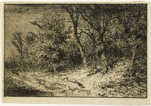 Cesta na okraji lesa od Charles Emile Jacque