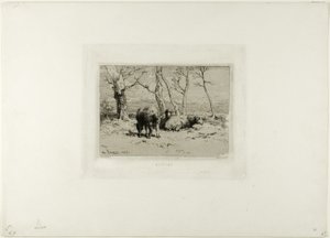 Ovce od Charles Emile Jacque