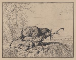 Stag Fighting a Wolf, po Antoine Louis Barye, 1846. od Charles Emile Jacque