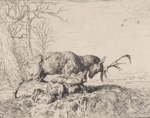 Stag Fighting a Wolf, po Antoine Louis Barye, 1846. od Charles Emile Jacque
