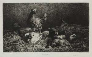 Kuřata. od Charles Emile Jacque