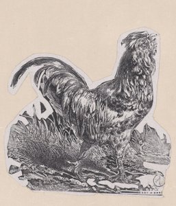 Kohout, ca. 1853. od Charles Emile Jacque