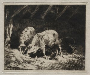 Dva vepřové. od Charles Emile Jacque