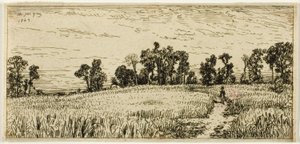 Pšeničné pole od Charles Emile Jacque