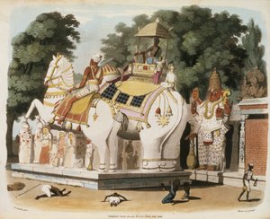 Domorodci vzdávají hold svému vládci, vyryl Thomas Medland (1755-1823) 1803