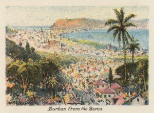 Jihoafrická republika: Durban od Berea (barevná litografie) od Charles Ernest Peers