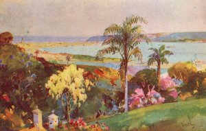 Přístav Natal, Durban (barevná litografie)