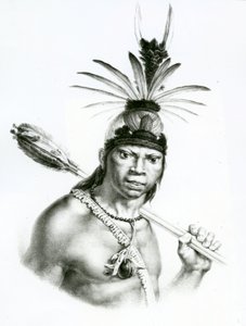 Šéf Camacan Montoyo z „Pittoresque and Historical Trip to Brazil“ od Jean Baptist Debret, 1834 od Charles Etienne Pierre Motte