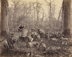 Les Fontainebleau od Charles Famin