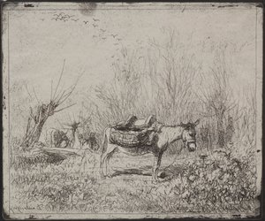 Osel v poli od Charles Francois Daubigny