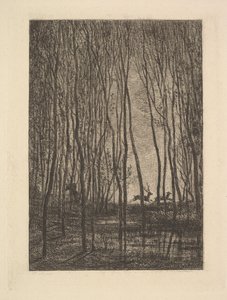 Deer in the Woods, 1850. od Charles Francois Daubigny