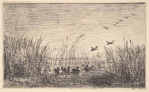 Ducks in the Marshes, [1862], přetištěno 1921. od Charles Francois Daubigny