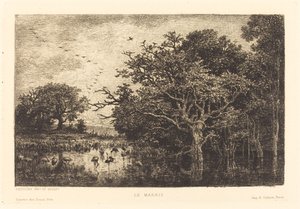 Bažina od Charles Francois Daubigny