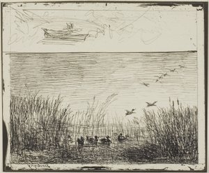 Marsh s kachnami od Charles Francois Daubigny