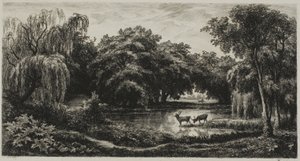 Marsh s jeleny od Charles Francois Daubigny