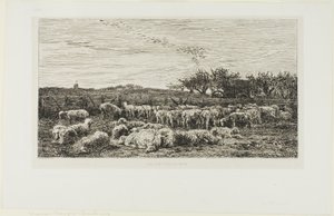 Louka s ovcemi od Charles Francois Daubigny