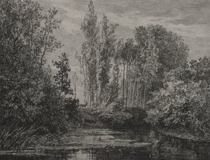 Jeleni na okraji vody od Charles Francois Daubigny