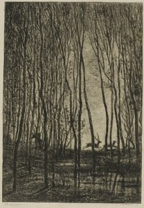 Jeleni v lese od Charles Francois Daubigny