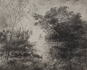 Jeleni, původní otisk 1862, vytištěno 1921. od Charles Francois Daubigny