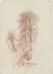 Studie dvou štíhlých a několika menších stromů v listech od Charles Francois Daubigny