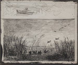 Bažina s kachnami od Charles Francois Daubigny