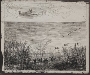 Swamp with Ducks, původní otisk 1862, vytištěno v roce 1921. od Charles Francois Daubigny