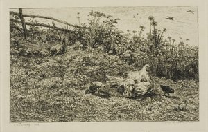 Slepice a její kuřátka od Charles Francois Daubigny