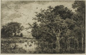 Bažina s čápy od Charles Francois Daubigny