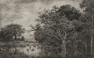 Bažina s čápy, c. 1851. od Charles Francois Daubigny