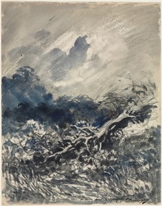 Dub a rákos, c. 1873 (modré a černé praní) od Charles Francois Daubigny