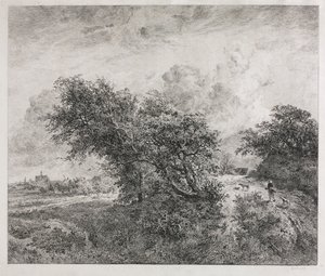 Houšť od Charles Francois Daubigny