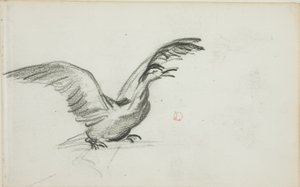 Divoký duet (recto); dvě stojící nahé ženské postavy ve výklencích (verso) od Charles Francois Daubigny