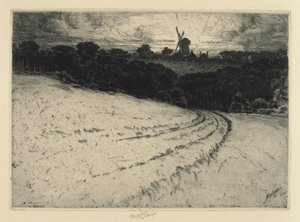 Dobré ráno, ostrov Canonicut