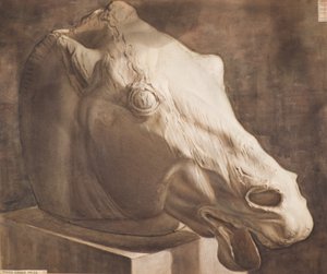 Studie - Koně míří z Parthenonu