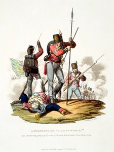 Uniforma seržanta a vojínů 87. nebo vlastního irského pluku prince z Walesu ve službě, z „Kostýmu Britského impéria, podle posledních předpisů“, vydaného v roce 1813 (ručně vybarvené od Charles Hamilton Smith