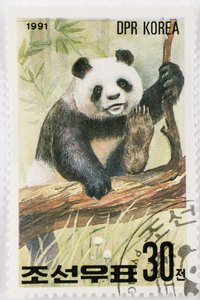 Známka/Severní Korea/Ailuropoda melanoleuca/Grand panda/Giant Panda