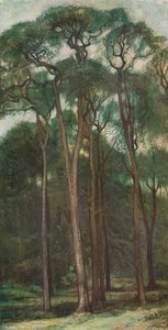 Studium stromů, c1900 1903-1904