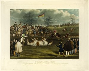 Steeplechase Saint Albans od Charles Hunt